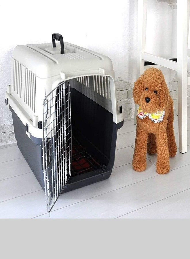 KittuPet KittuyPet Heavy Duty Pet Travel Cage - Plastic Flight Cage for Pets cat Dog, Rabbits (20 inch Flight cage) - Image 3